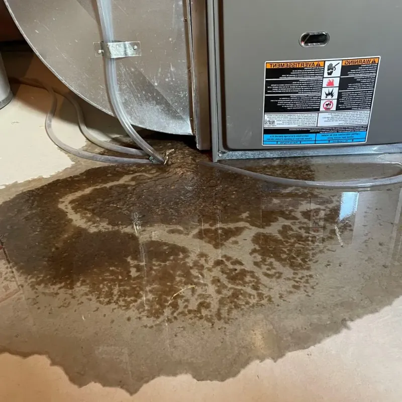 Pipe Burst and Leak Restoration in Kearney, MO