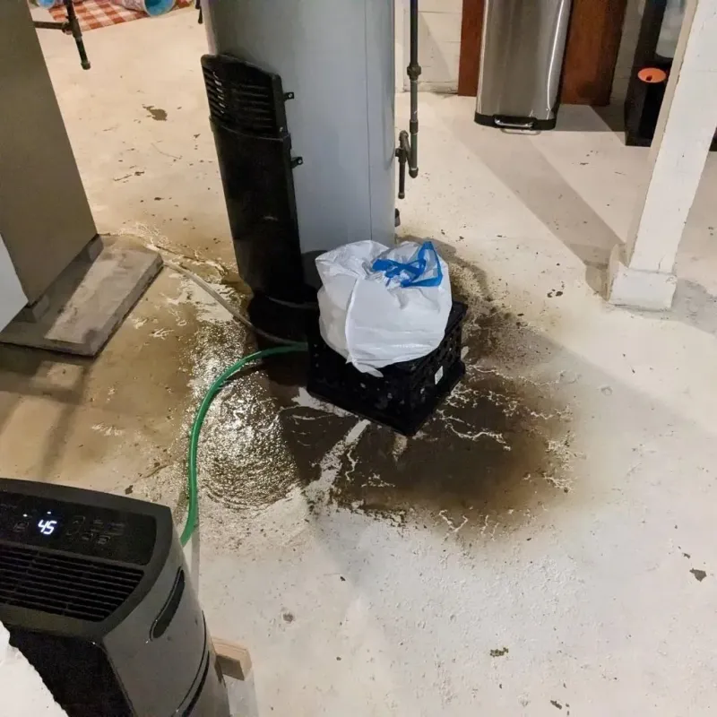 Sewage Backup Cleanup Service in Kearney, MO